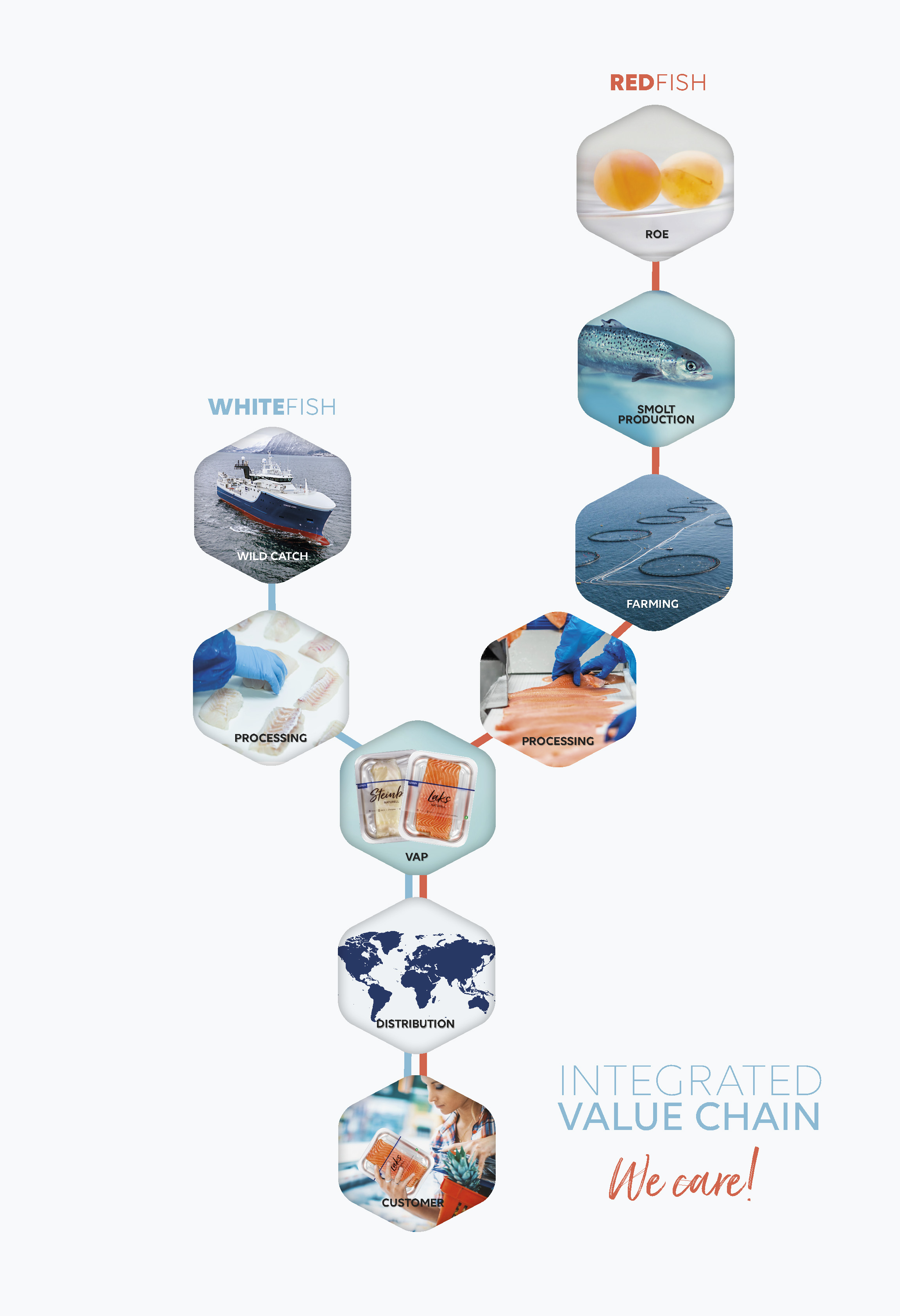 Ilustración de la cadena de valor